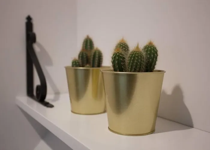 Bonito Apartamento, Nuevo Y En El Casco Viejo!!! *