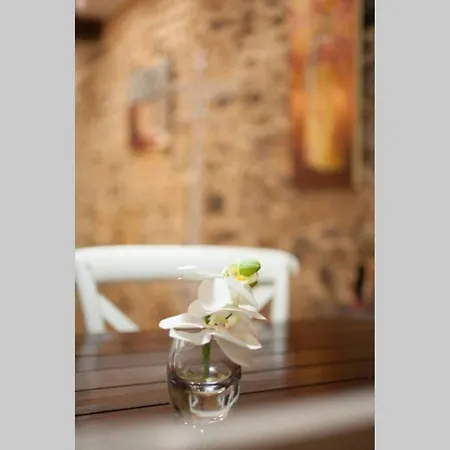 Bonito Apartamento, Nuevo Y En El Casco Viejo!!! Apartment