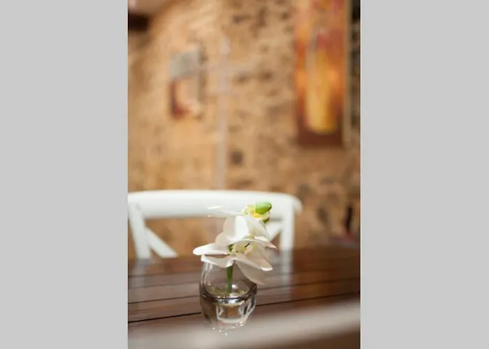 Bonito Apartamento, Nuevo Y En El Casco Viejo!!! Apartment